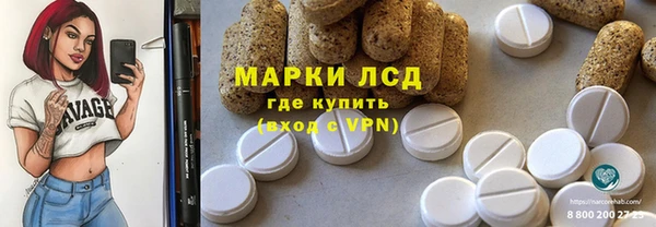 стафф Новозыбков