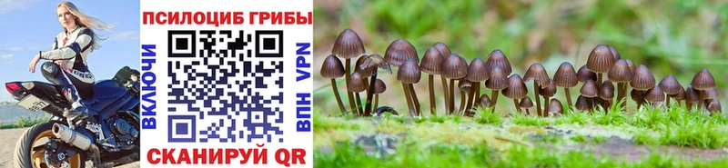 Псилоцибиновые грибы GOLDEN TEACHER  продажа наркотиков  Солигалич 